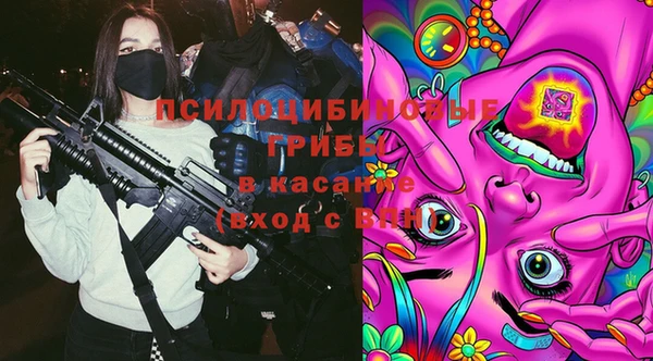 mix Богородицк